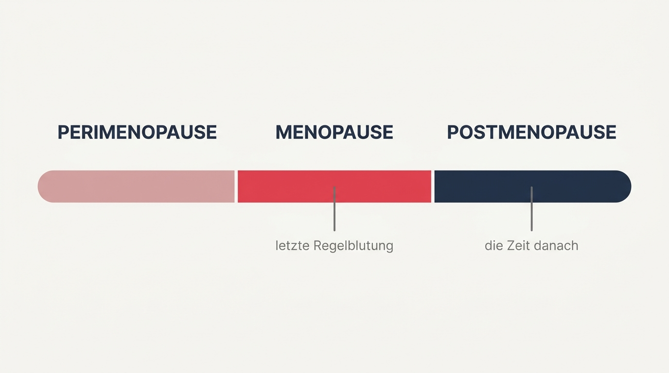 Zeitstrahl der Wechseljahre mit den drei Abschnitten Perimenopause, Menopause und Postmenopause