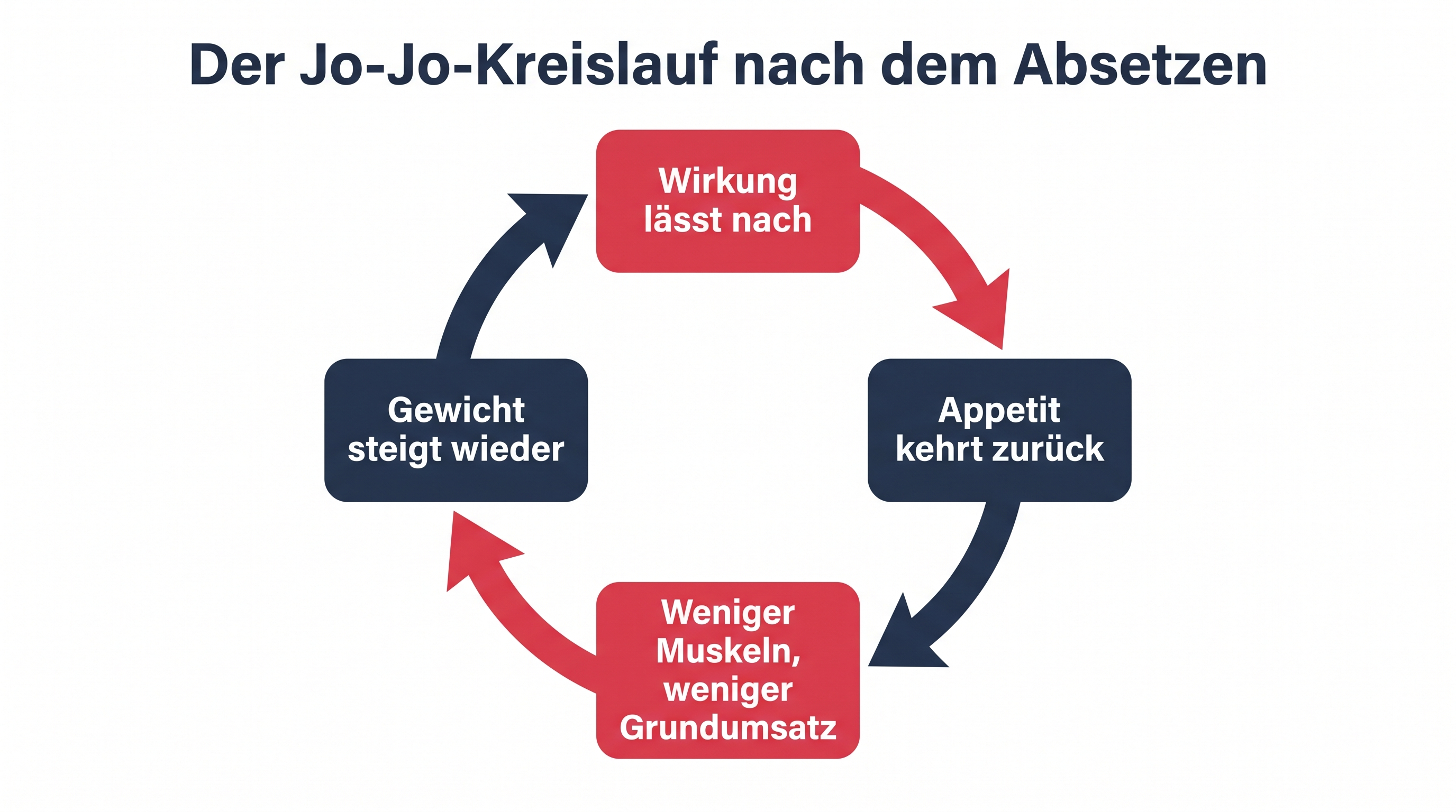 Grafik zeigt den Kreislauf aus nachlassender Wirkung, zurückkehrendem Appetit, Muskelverlust und wieder steigendem Gewicht