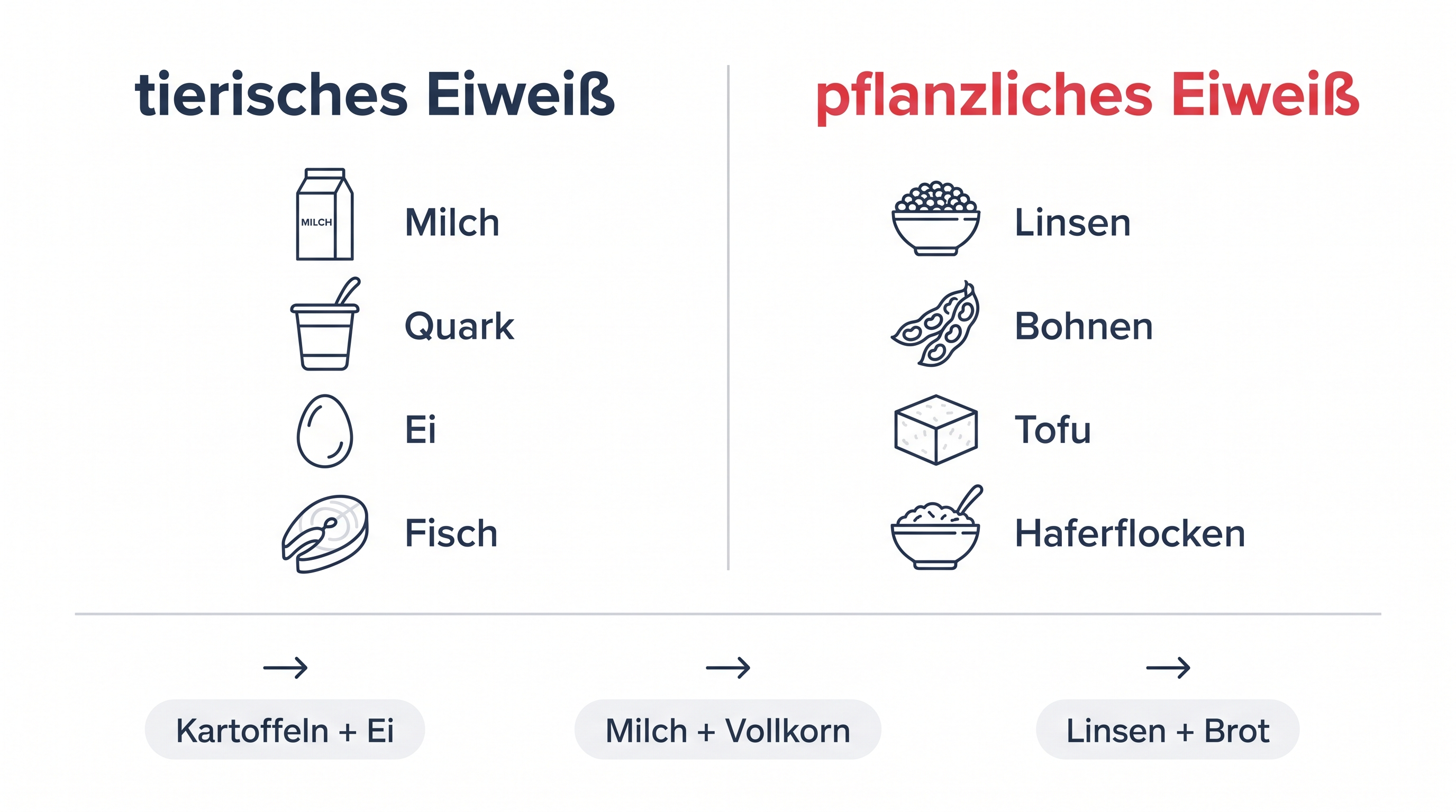 Grafik stellt tierische und pflanzliche Eiweißquellen gegenüber und zeigt die Kombinationen Kartoffeln mit Ei, Milch mit Vollkorn und Linsen mit Brot