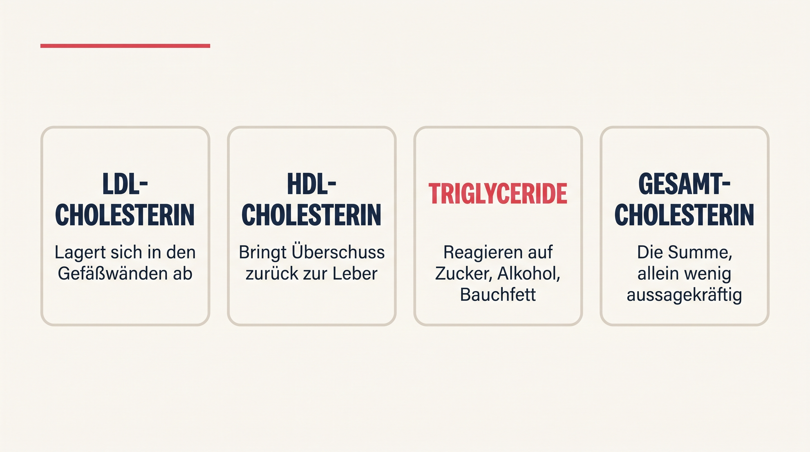 Grafik, die die vier Blutfettwerte LDL, HDL, Triglyceride und Gesamtcholesterin mit je einem Satz erklärt
