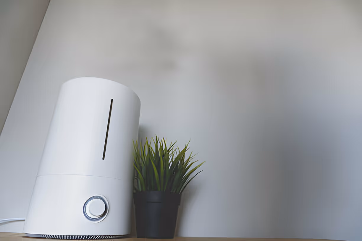 Whole House Air Purification in Puyallup