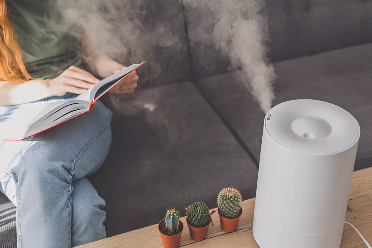 Whole Home Humidifiers in Sumner