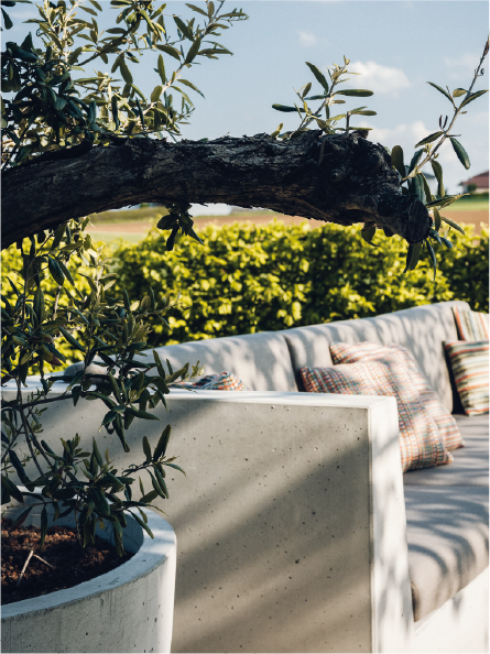 Concrete outdoor sofa with patterned pillows and olive tree branch overhead in a sunny garden.