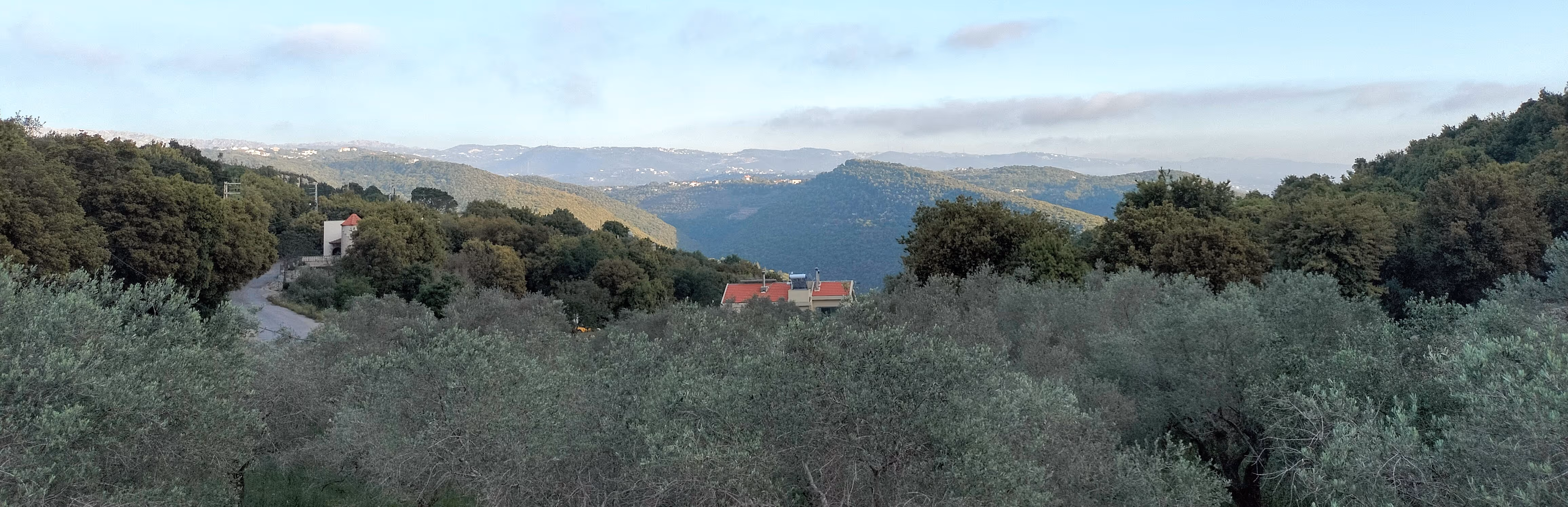 Green mountainous landscape with dense trees and a few houses with red roofs under a clear sky.