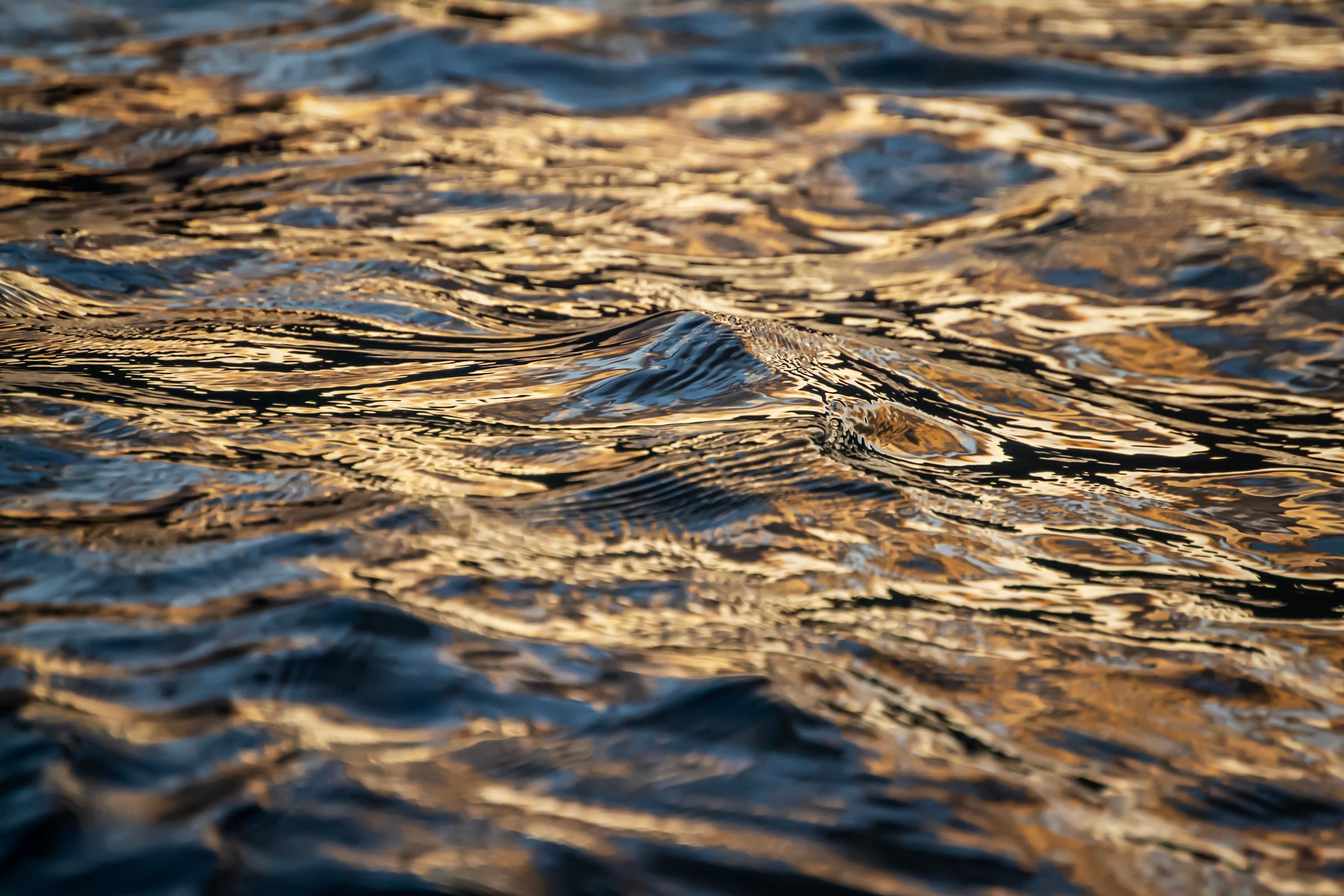 Soft reflections and ripples in the harbor — fine art ocean imagery by Maison TALI.