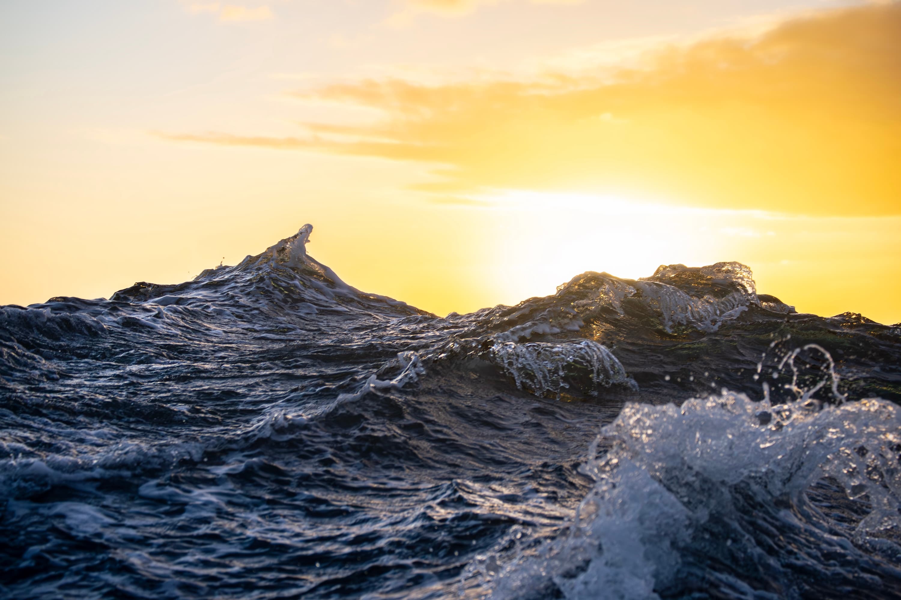 Powerful ocean wave in motion — the dance of water and light captured by Maison TALI.