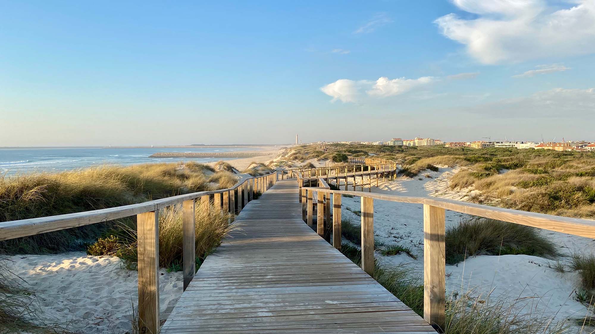 Wooden walkway leading to the beach and Atlantic coastline at Costa de Prata 