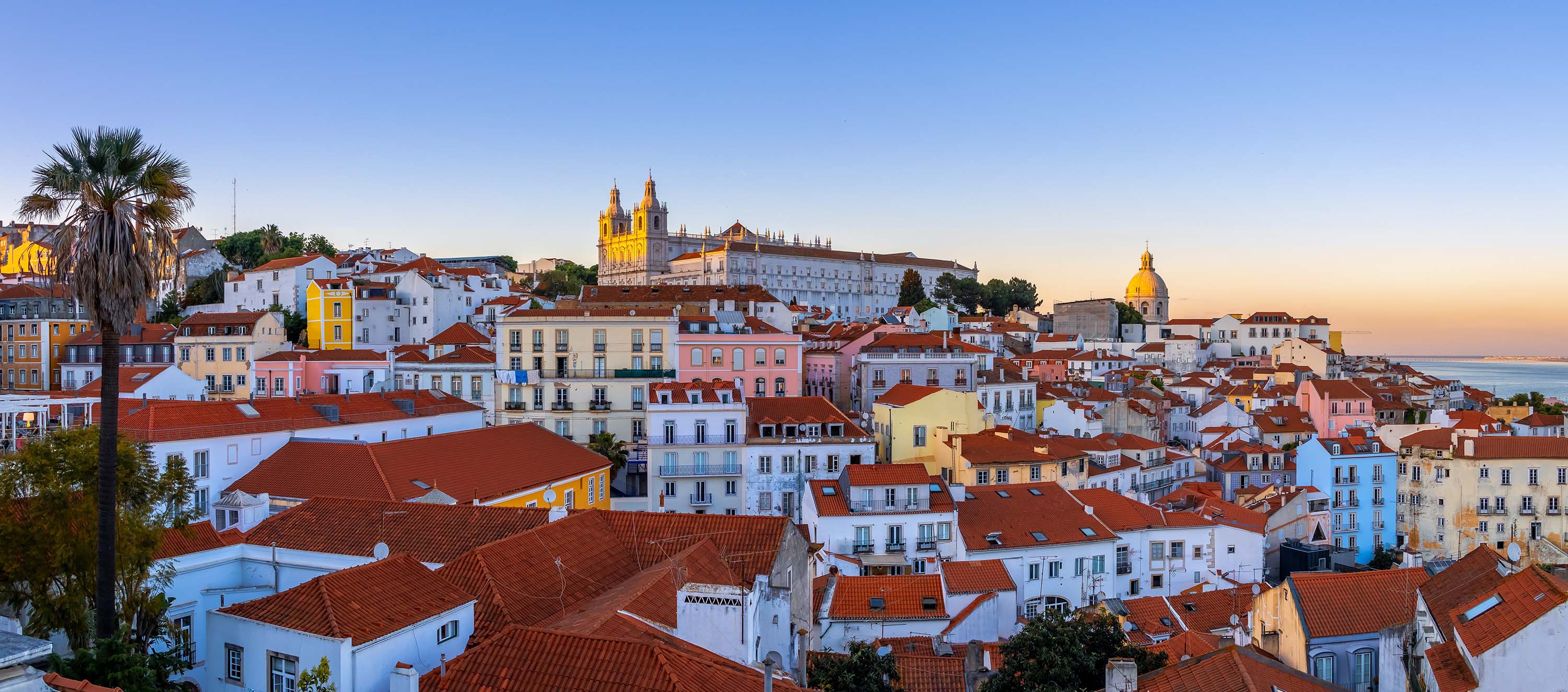 Aerial view of houses and villas in Alfama and the cathedral 