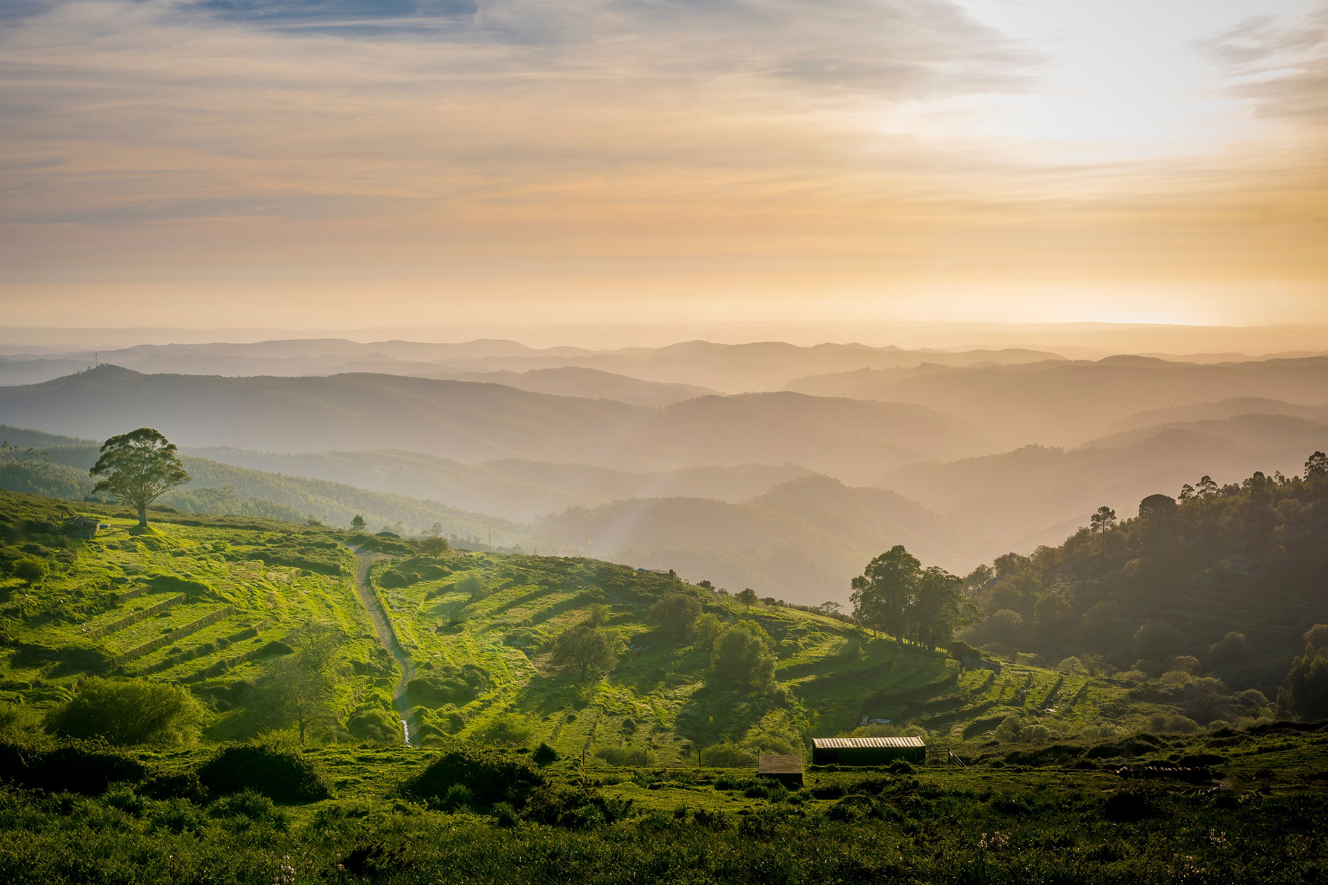 Sunset valley view with terraced fields of Serra de Monchique near Mount Foia