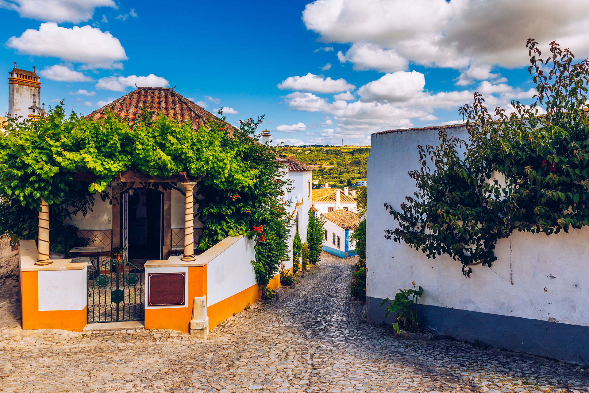 A vine-covered pergola and cobbled lane lead through Obidos’s whitewashed homes and tiled rooftops