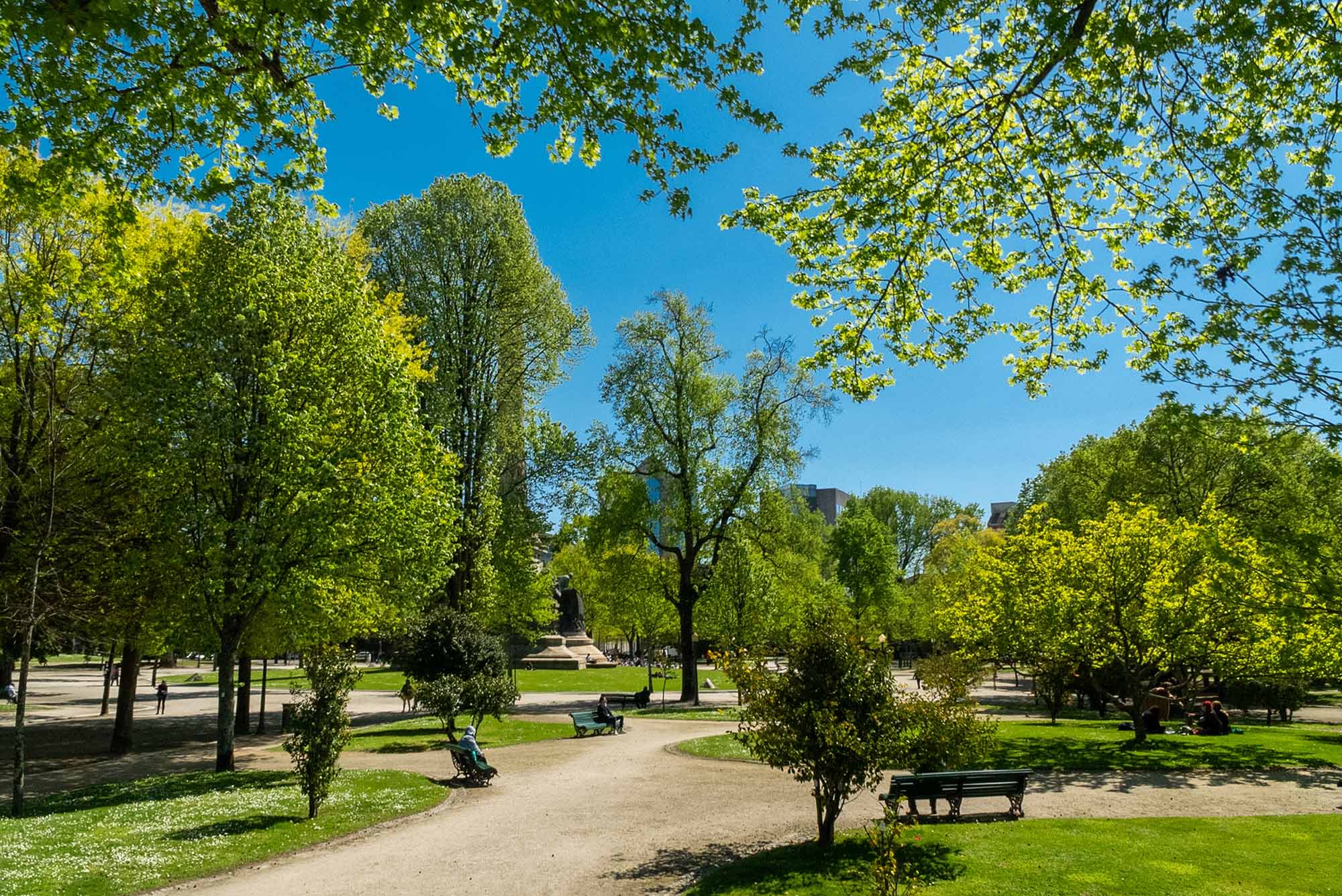 Boavista park with beautiful blue sky in Porto