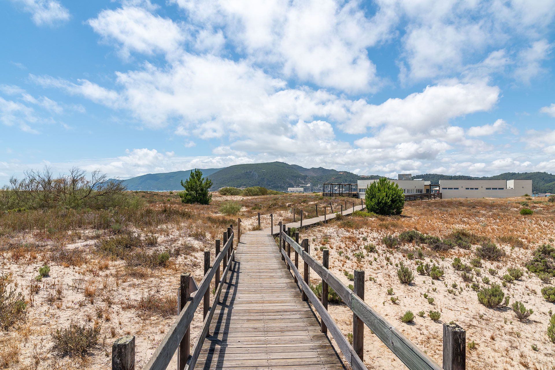 The Triota Norte walkway in Comporta, Portugal