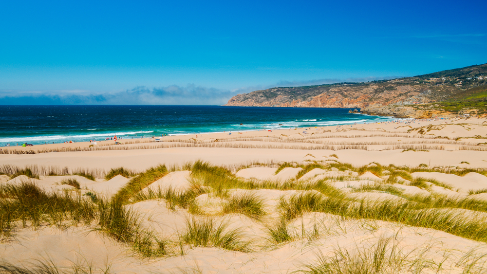 Grassy dunes lead to a wide sandy beach and blue ocean under a bright, clear sky