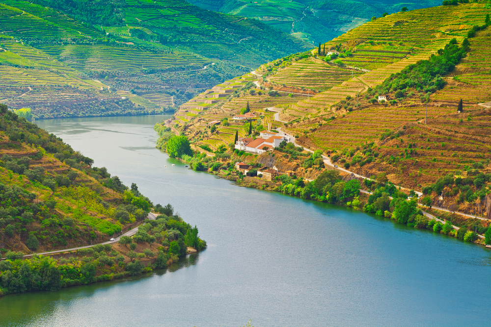 Lush green terraced vineyards rising from the banks of the winding Douro River in Portugal