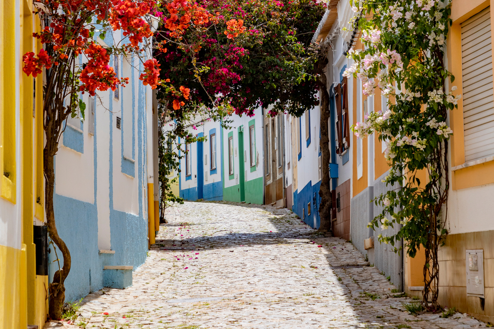 Colorful cobblestone street in Portugal with bright houses and blooming pink flowers