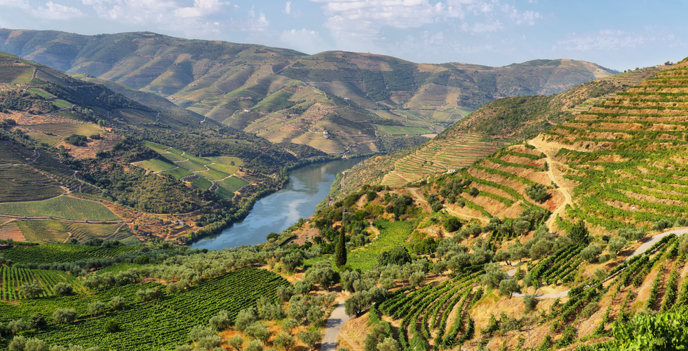 Scenic view of Alto Douro Vinhateiro, Tua Valley in Portugal