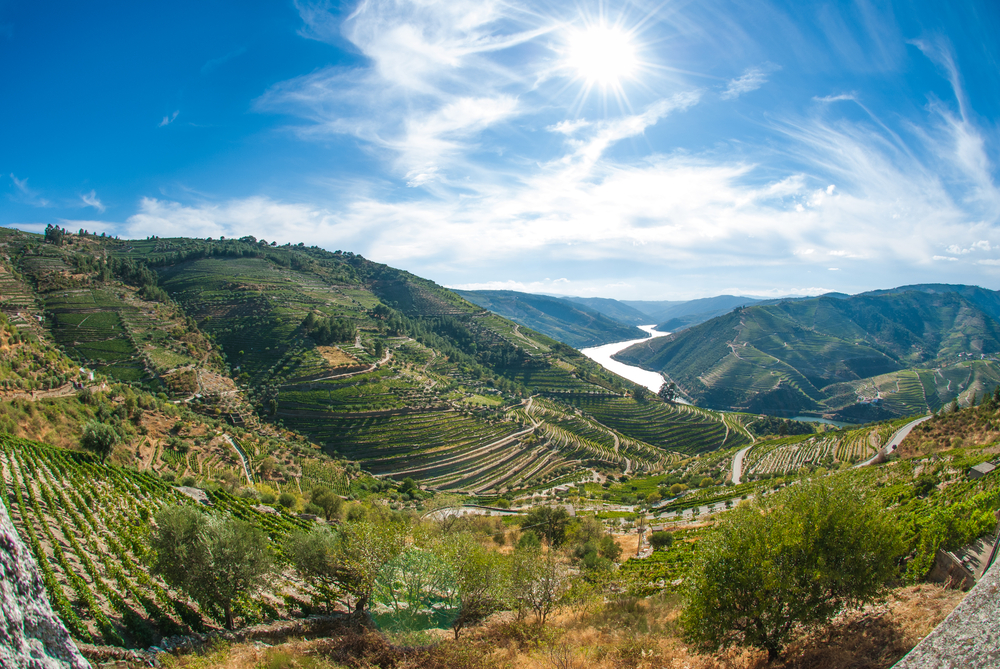 Terraced vineyards in the Alto Douro Wine Region, a designated Unesco World Heritage Site