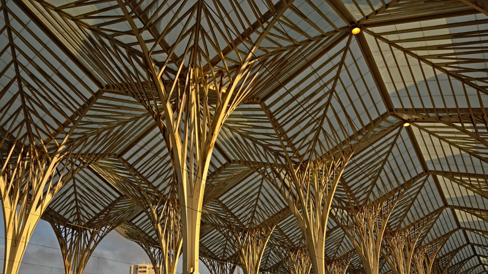 A striking geometric pattern of a vaulted glass and steel ceiling at a train station