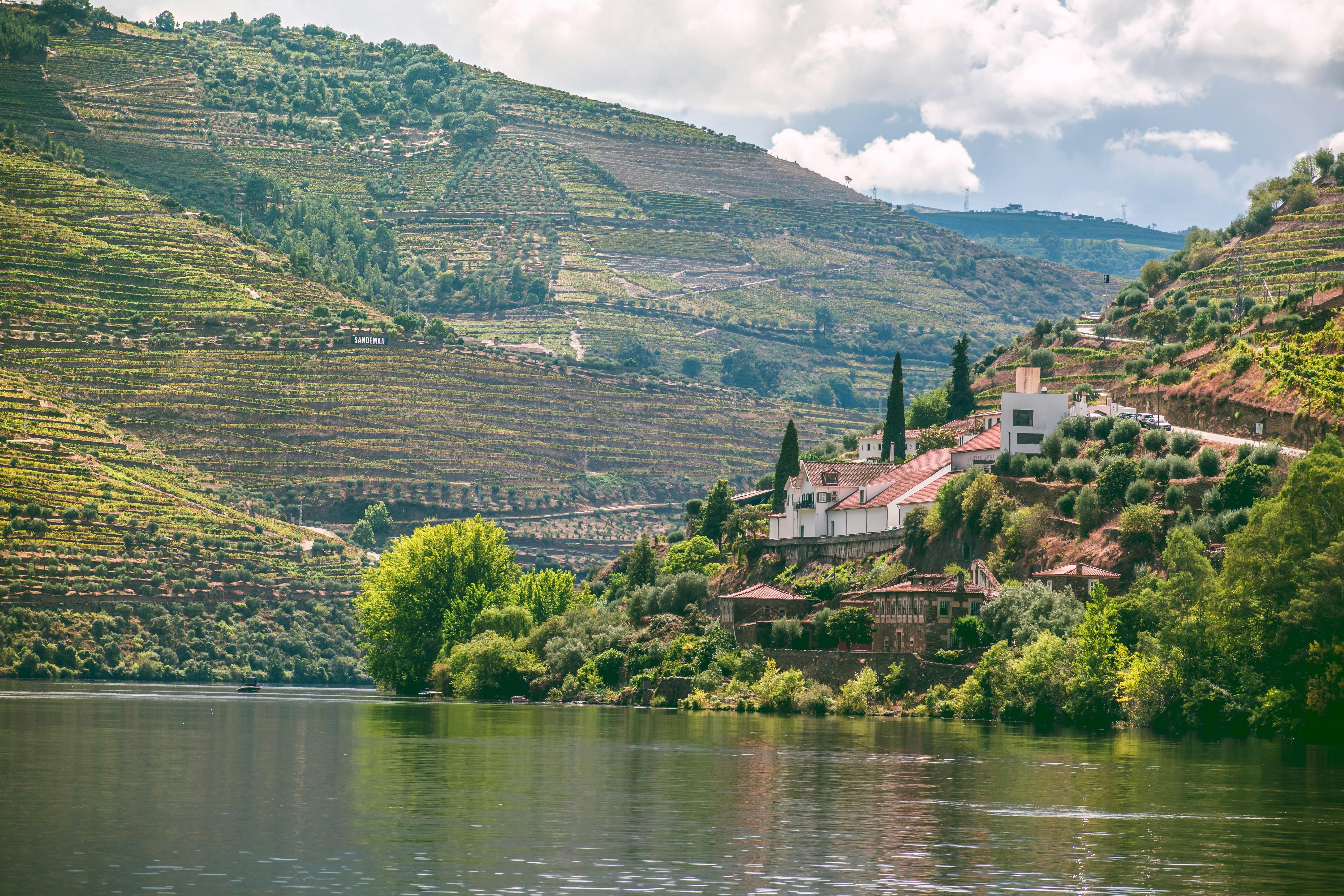 Douro Valley vineyards and river views in Portugal, showcasing its wine estates and natural beauty