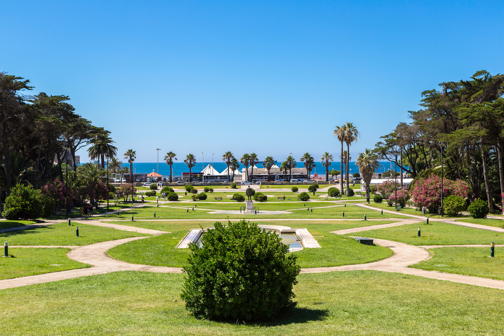 Manicured green park with palm trees and walking paths leading toward a sunny blue ocean