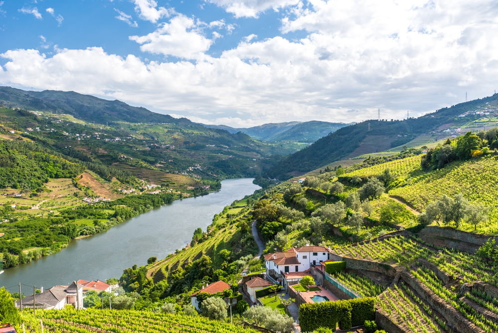 A view over the Douro valley in Portugal