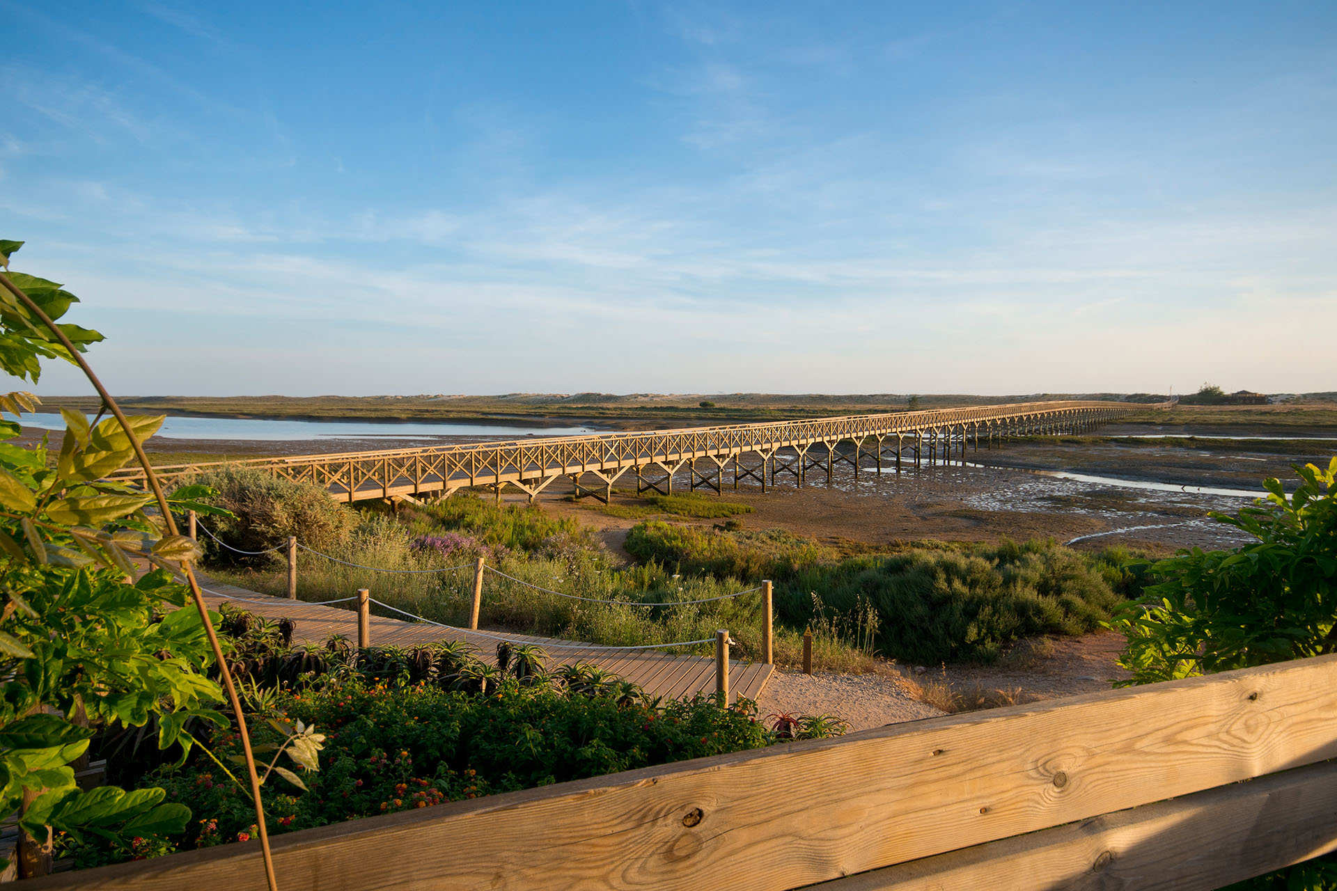 Bridge that leads to the beach and goes across Ria Formosa