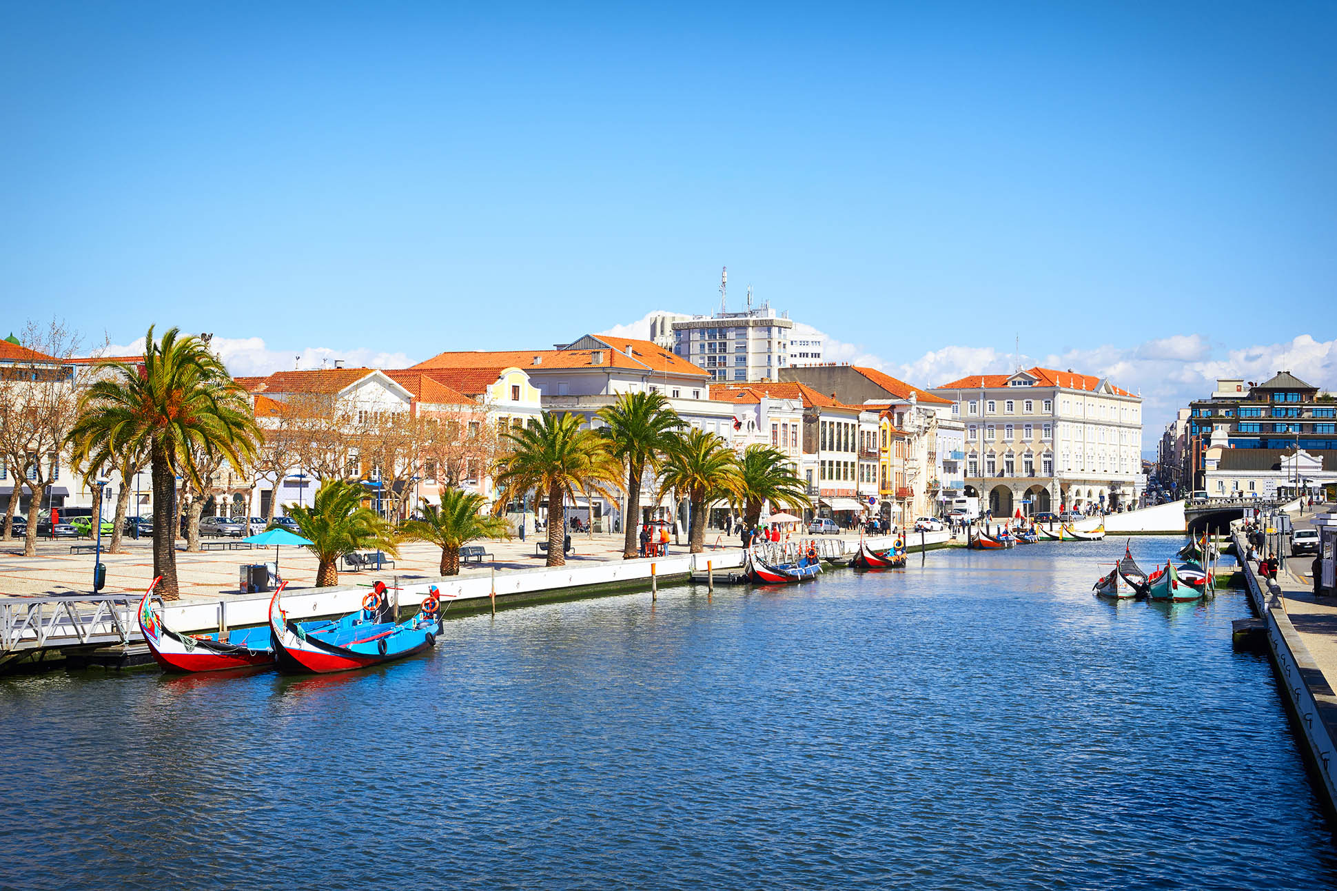 Colorful moliceiro boats docked along the central canal in Aveiro, Portugal, on a sunny day