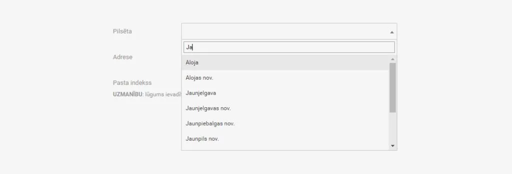 online store development