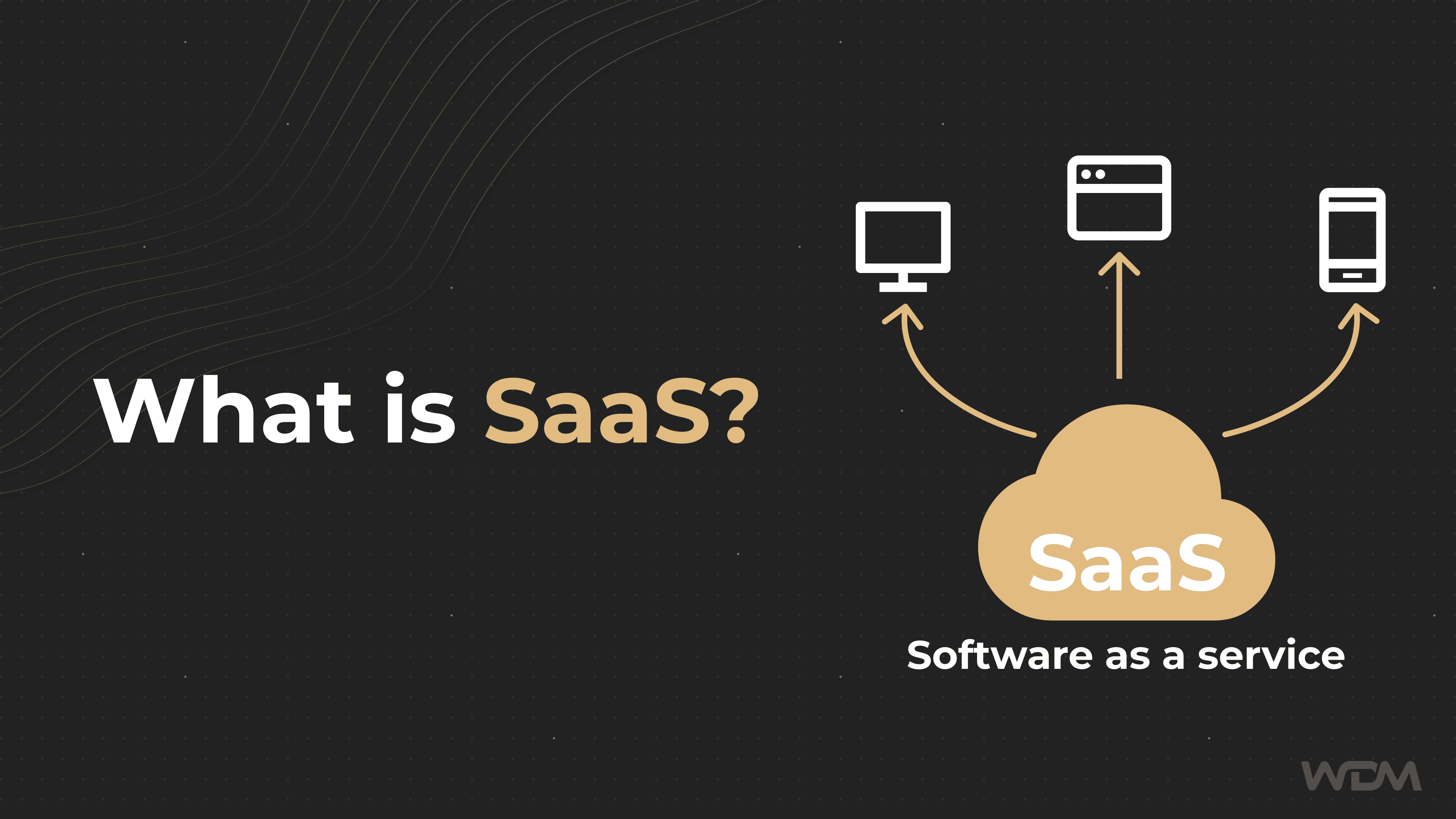 E-Commerce article thumbnail with the caption "What is SaaS?"