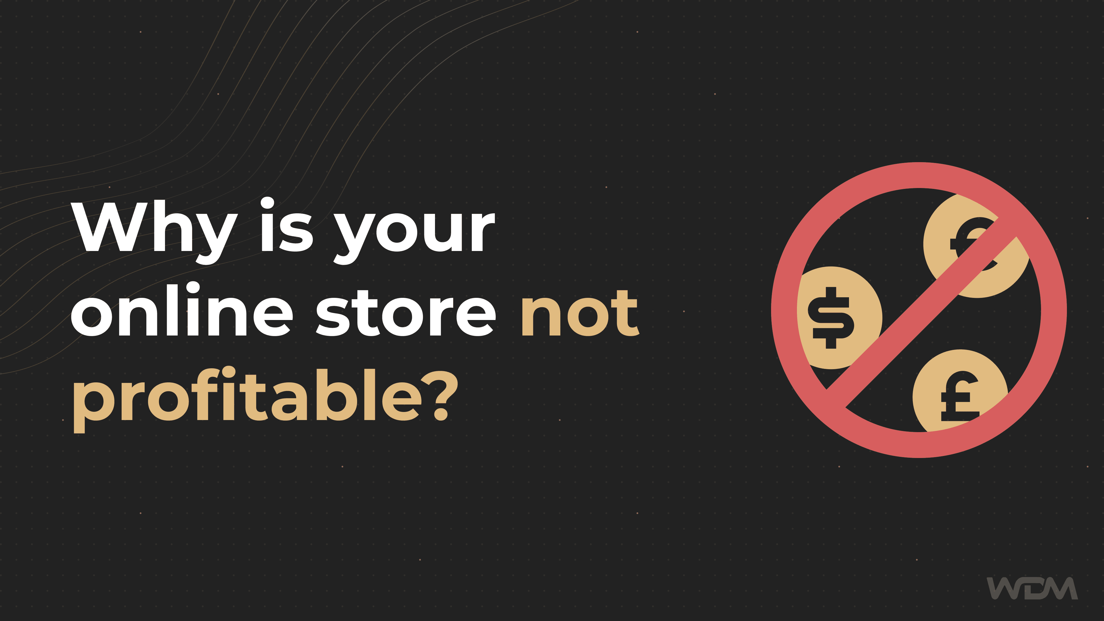 E-Commerce article thumbnail with the caption "Why is your online store not profitable?"