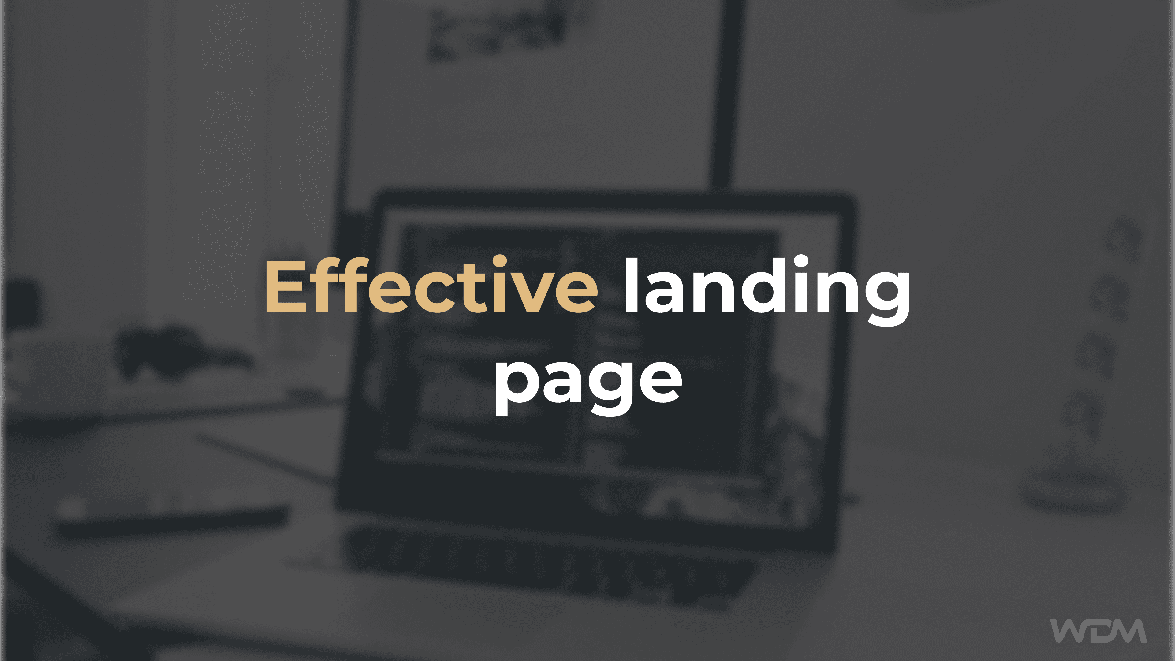 E-Commerce article thumbnail with the caption "Effective landing page"