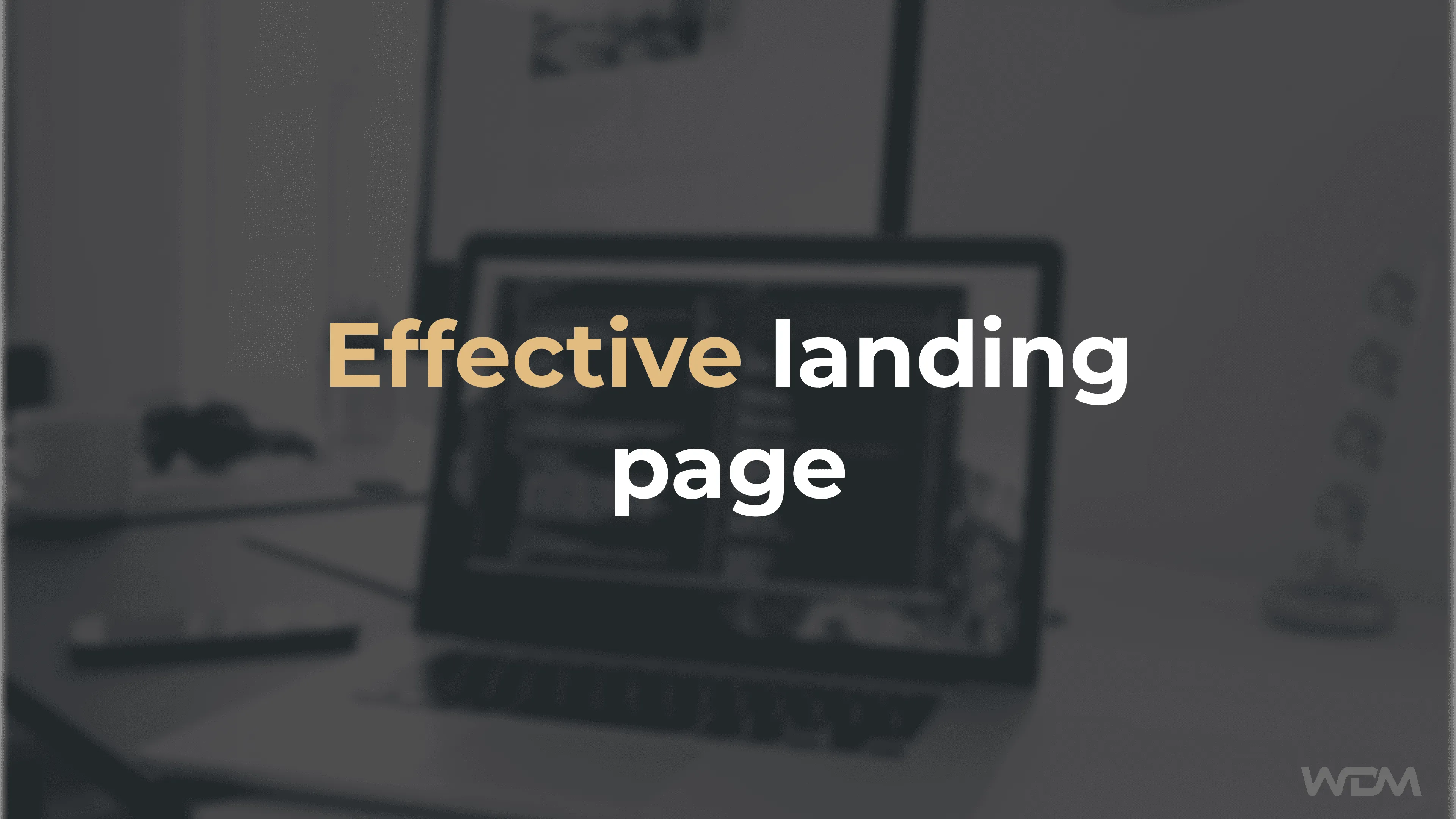 E-Commerce article thumbnail with the caption "Effective landing page"