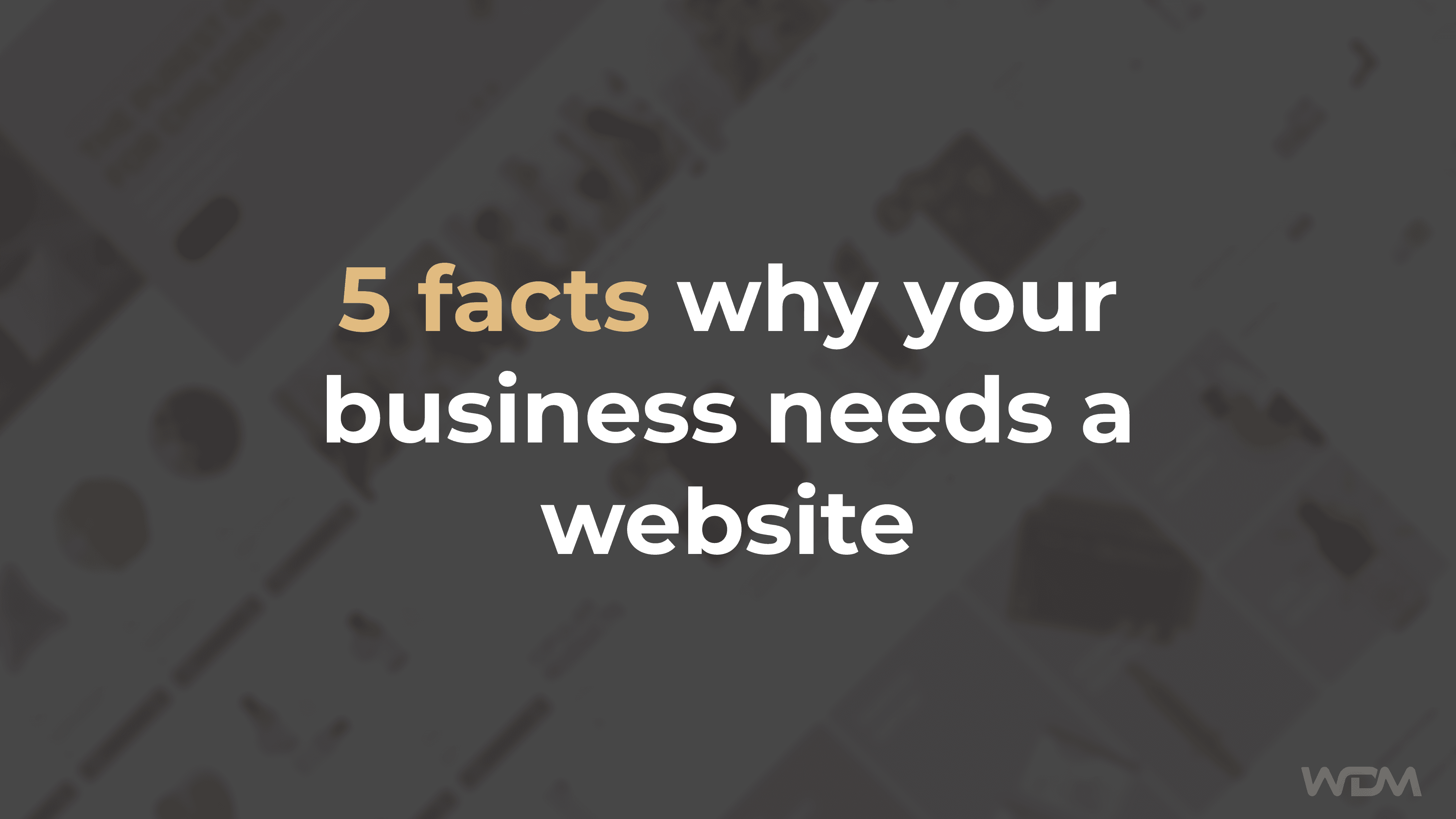 E-Commerce article thumbnail with the caption "5 facts why your business needs a website"
