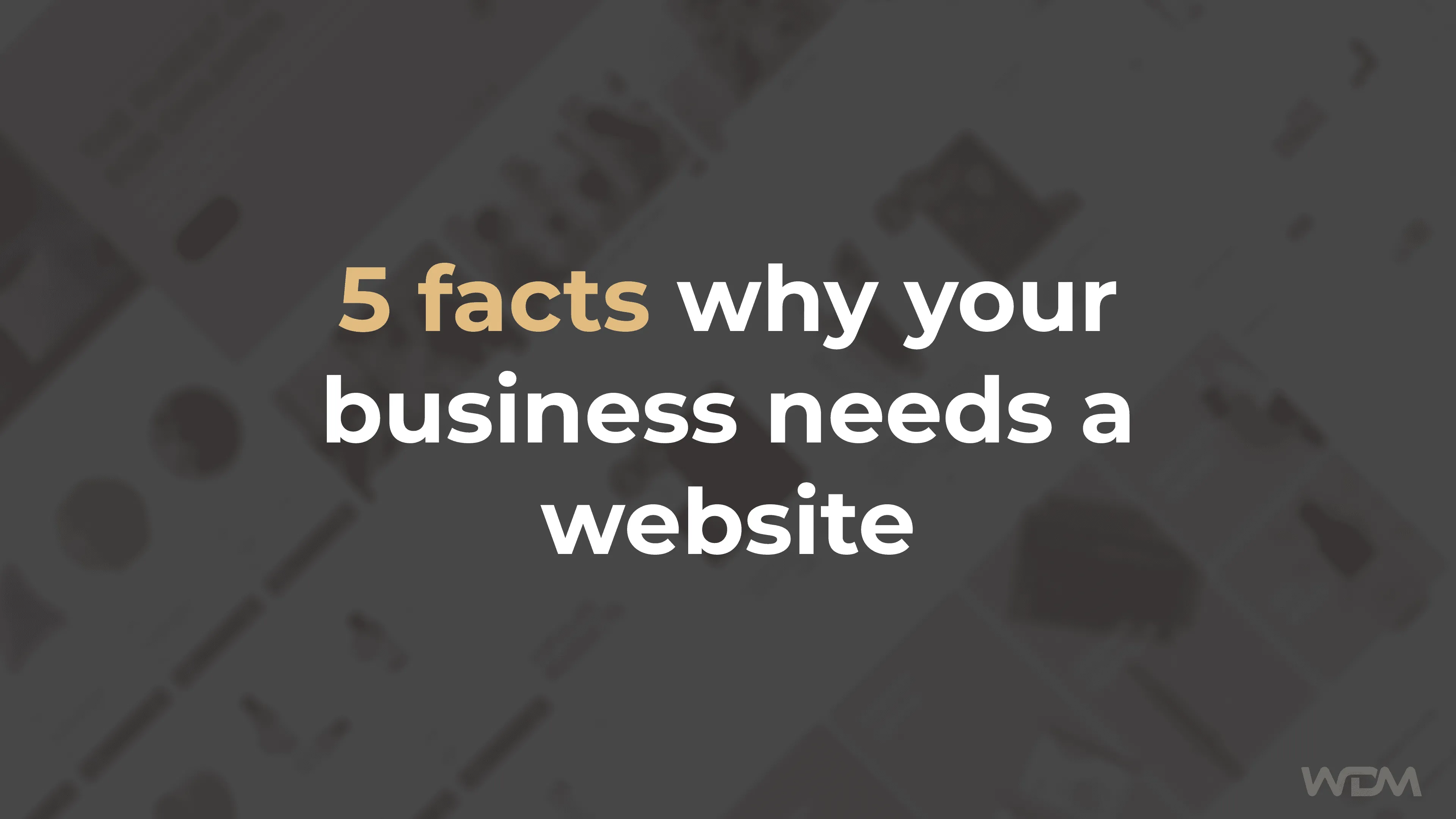 E-Commerce article thumbnail with the caption "5 facts why your business needs a website"