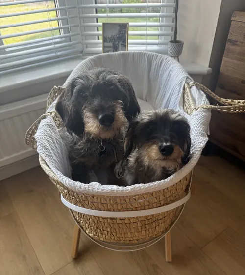 Flo and Tallulah