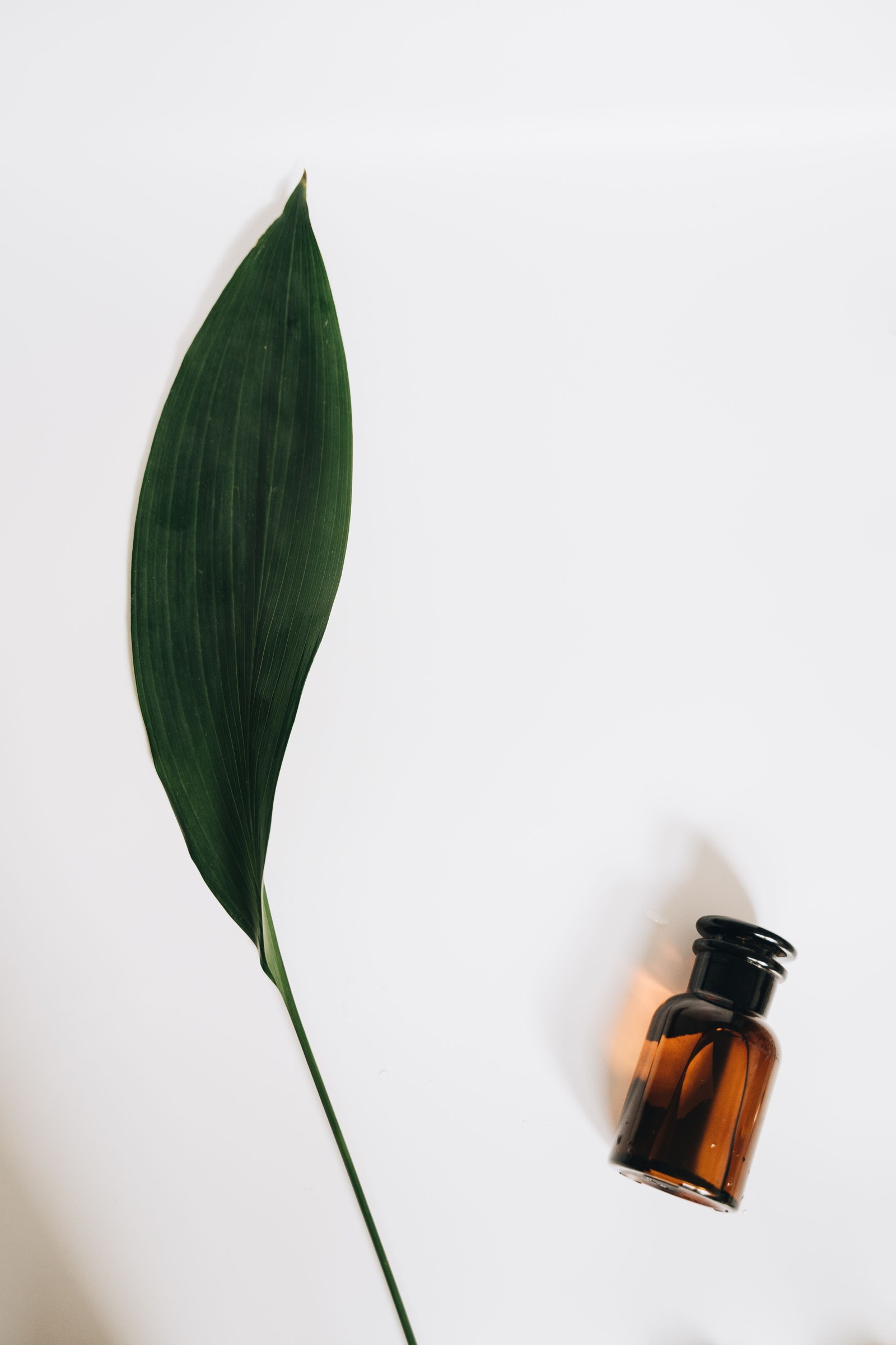 Amber bottle beside a single green leaf on a white background.