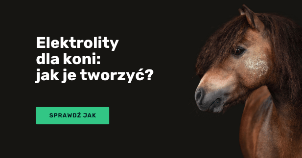 Elektrolity dla koni: projektowanie mieszanki