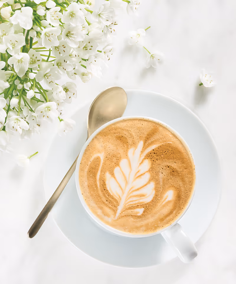 An overhead angle of a latte in a white mug on a plate with fresh white flowers resting next to it.
