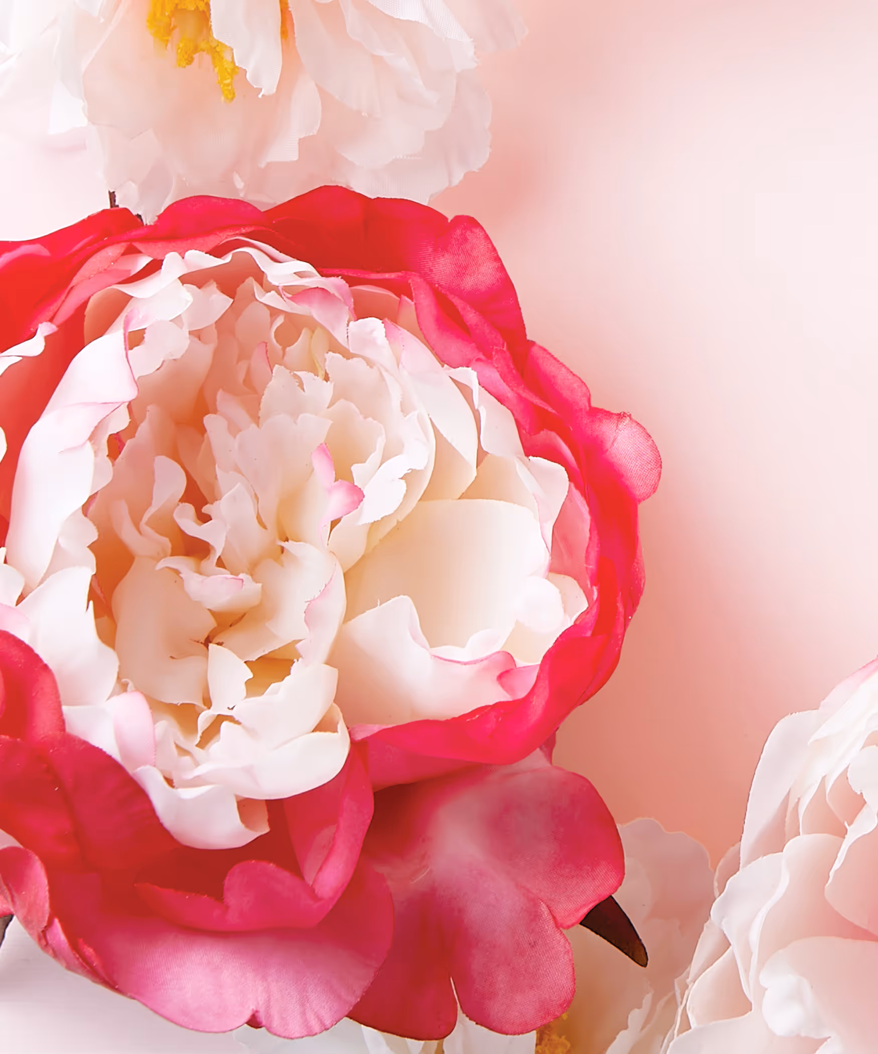 A pink surface with a border of pink and white flowers.