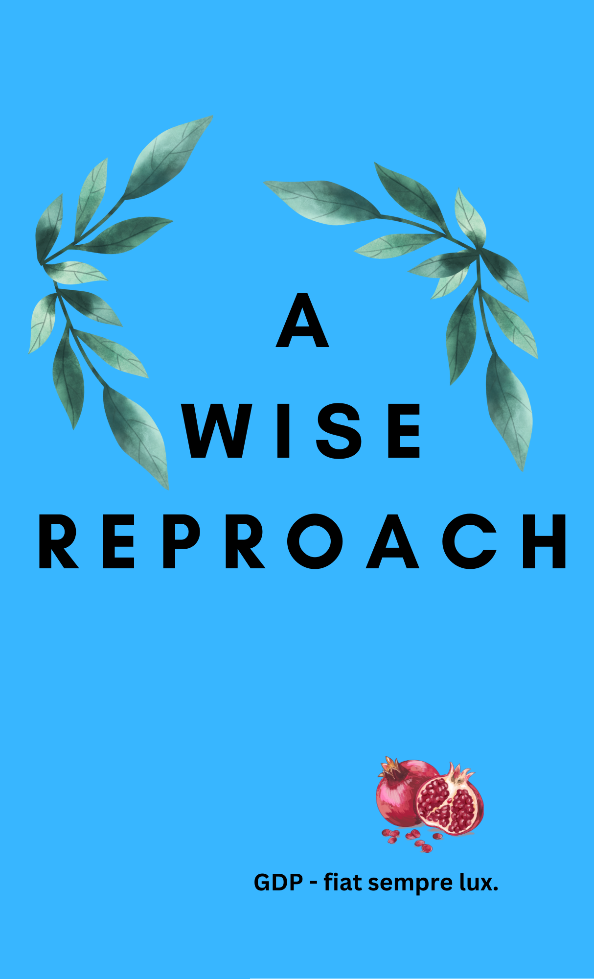 A Wise Reproach Book Cover