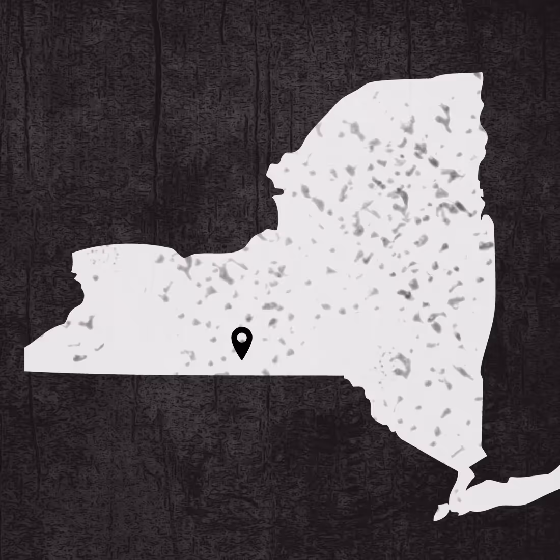New York State map, with a pin on Elmira.