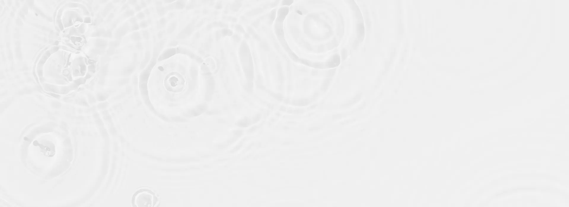 A picture of a white background with circles.