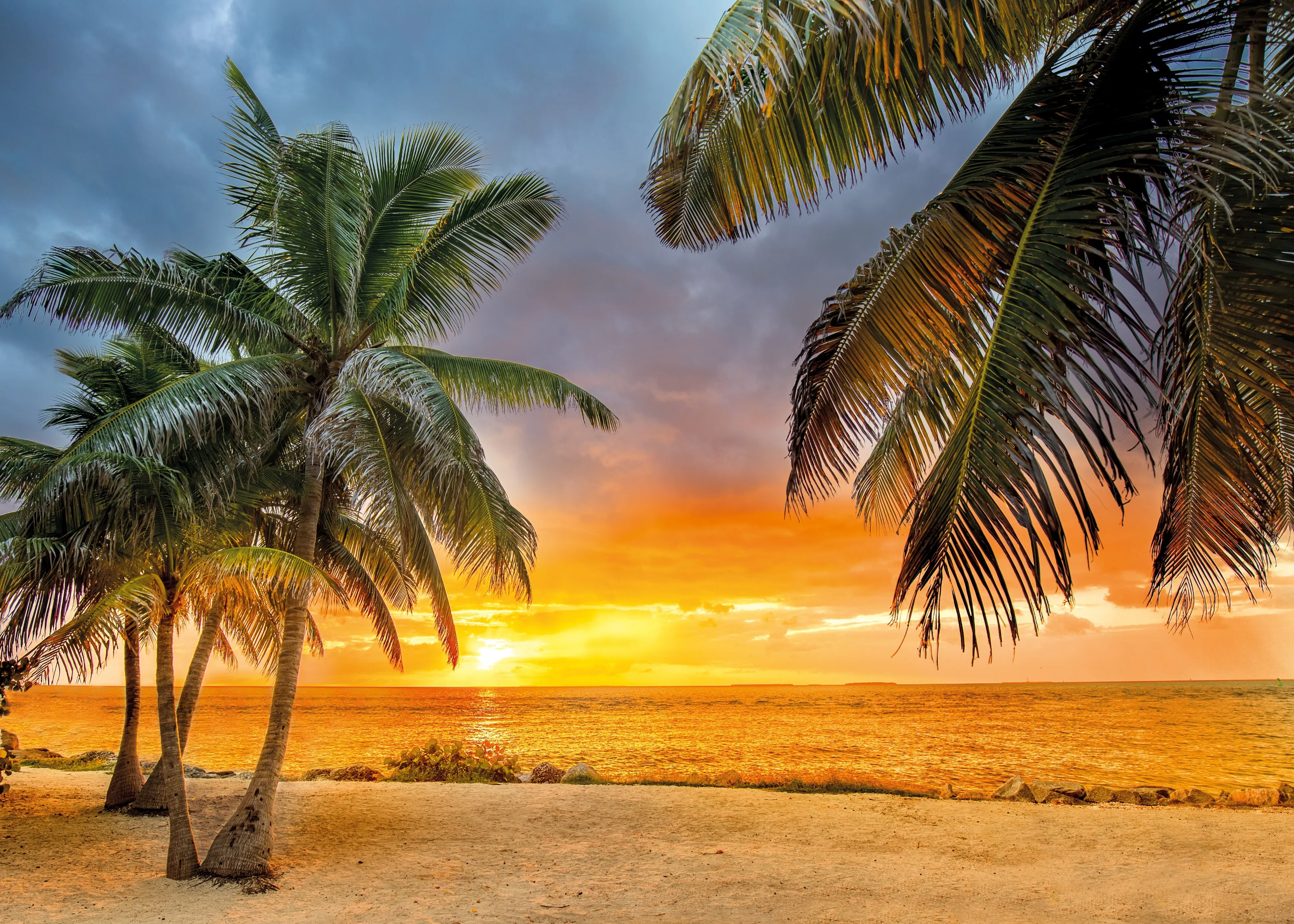 A couple of palm trees sitting on top of a sandy beach.