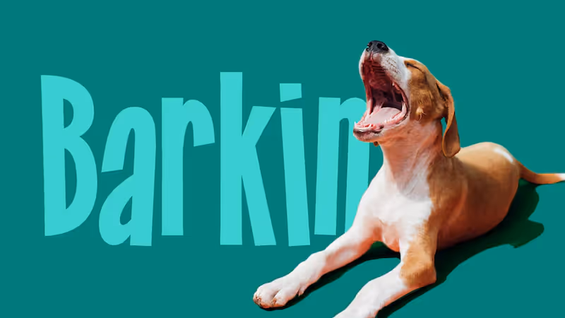 Barkin
