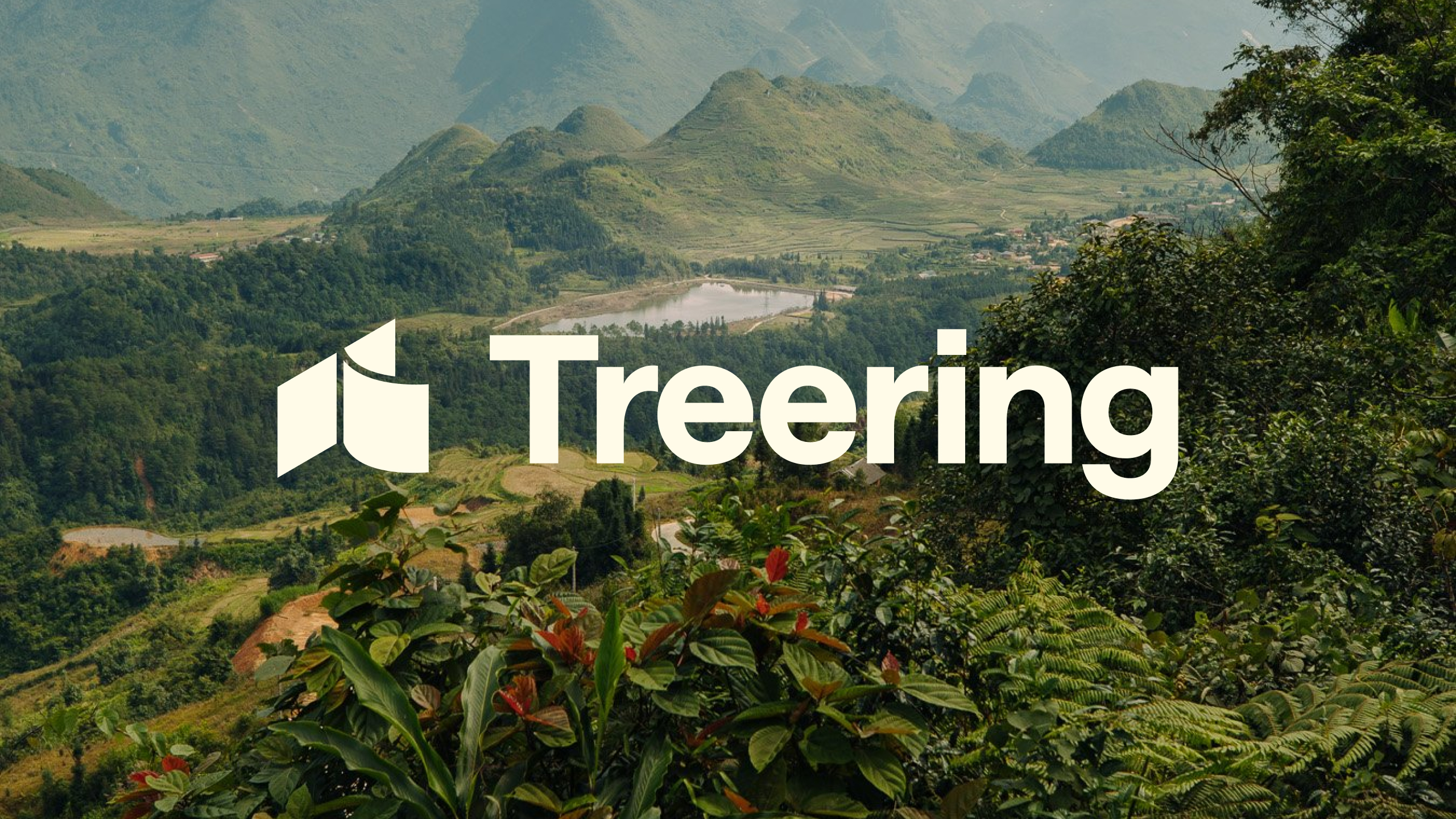 Treering