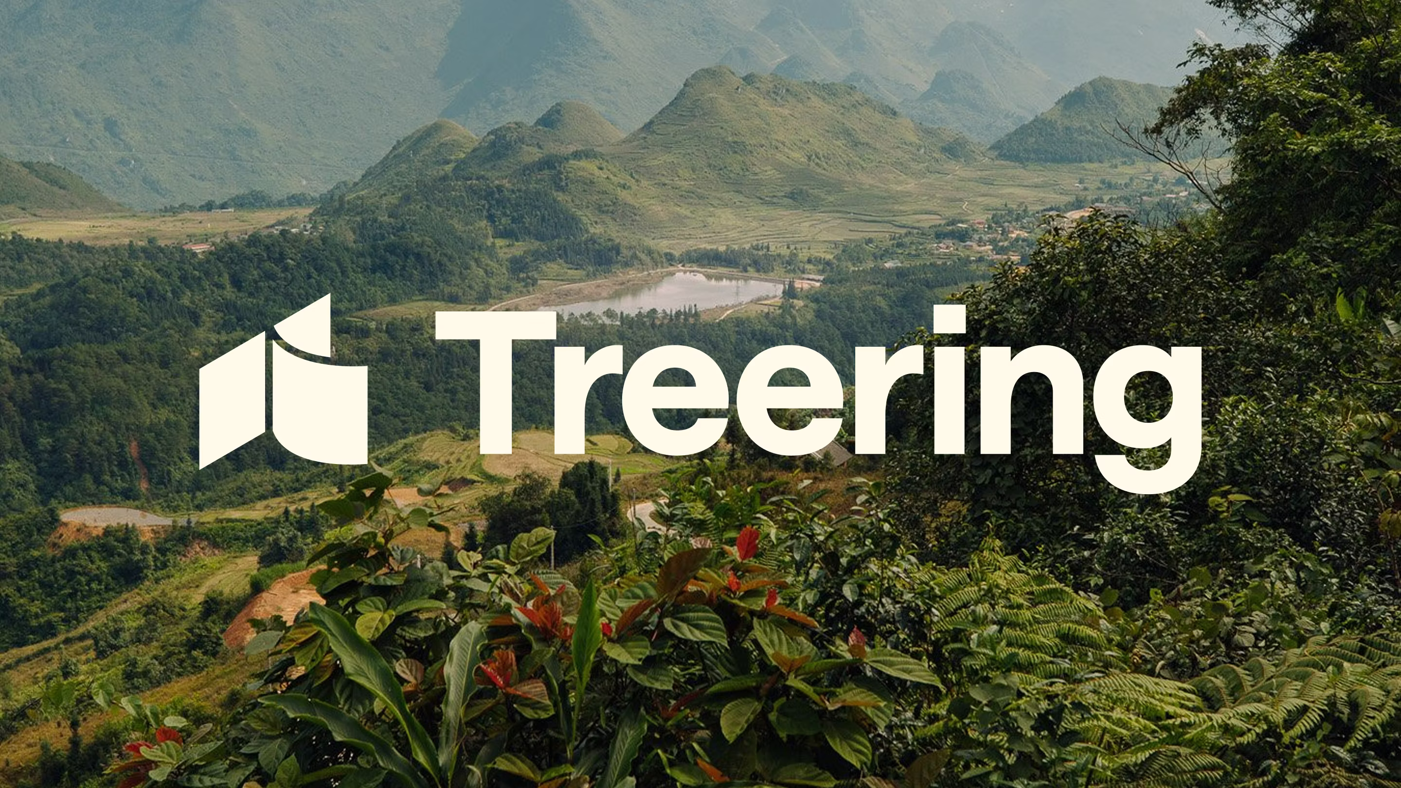 Treering