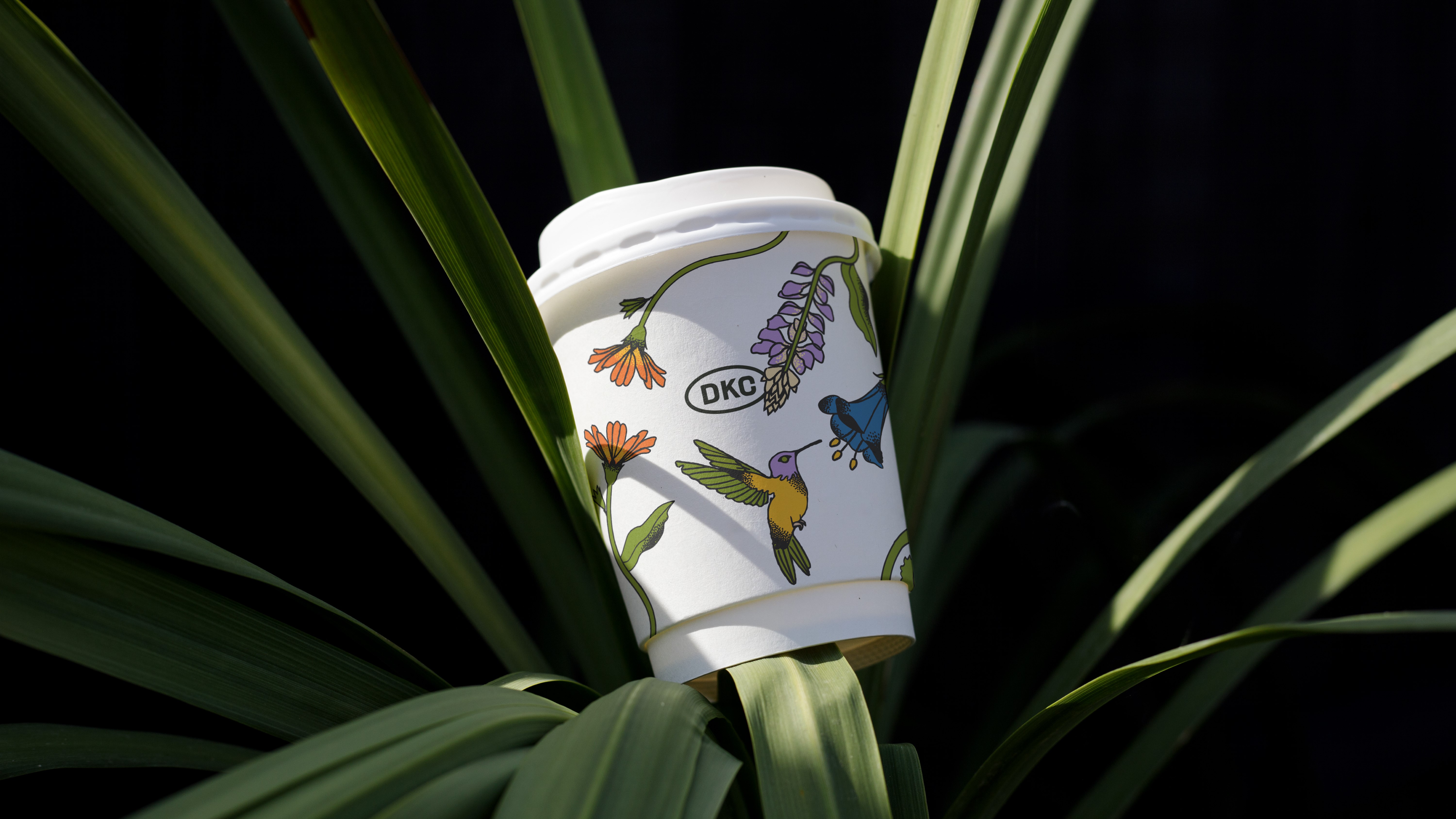 Desert Kid Coffee Blends in by Standing Out
