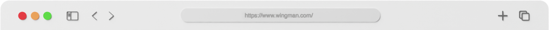 Wingman