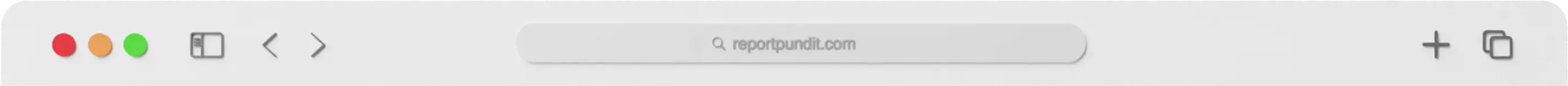 Report Pundit
