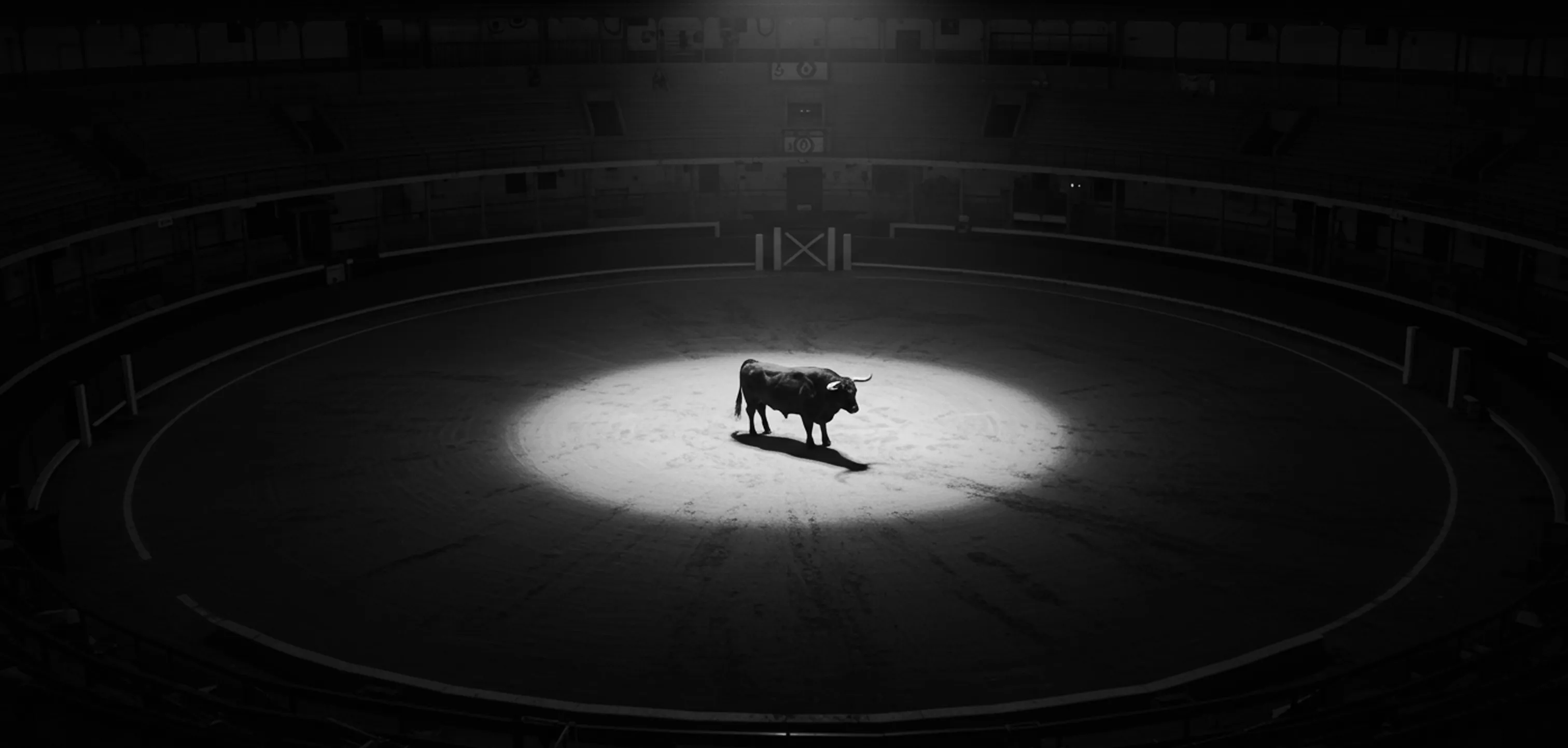 A bull standing in a spotlight inside a bullring
